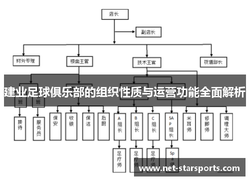 建业足球俱乐部的组织性质与运营功能全面解析
