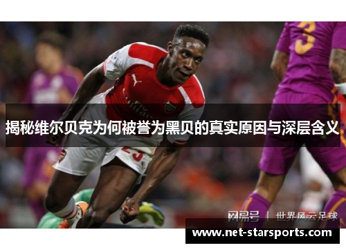 揭秘维尔贝克为何被誉为黑贝的真实原因与深层含义